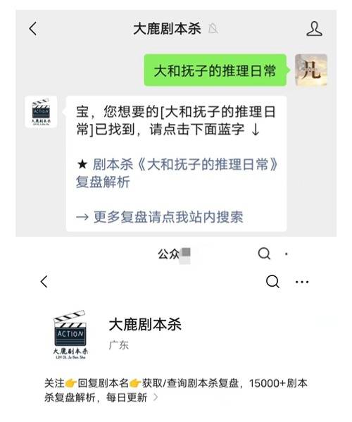 不朽情缘mg网址剧本杀《雪乡连环杀人事件2》复盘解析+角色测评+手法密码+线索分析+测评攻略(图1)